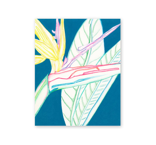 Strelitzia with leaf aqua