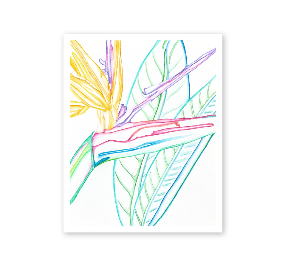 Strelitzia with leafs